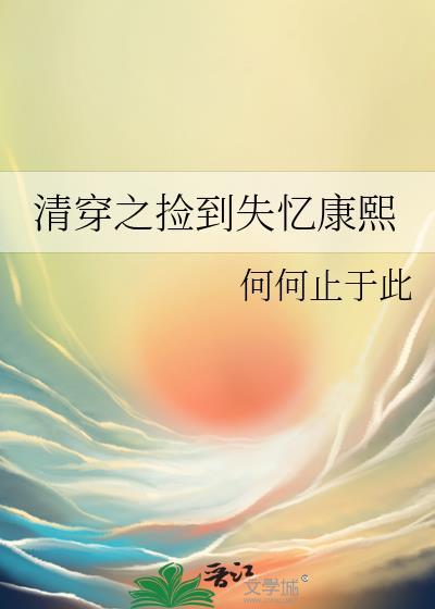 清穿之捡到失忆康熙
