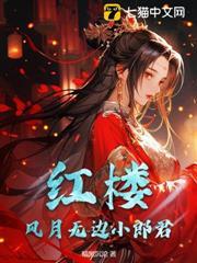 红楼：风月无边小郎君